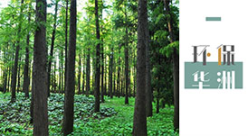 環(huán)保進行時 | 華洲木業(yè)，用行動為地球發(fā)聲