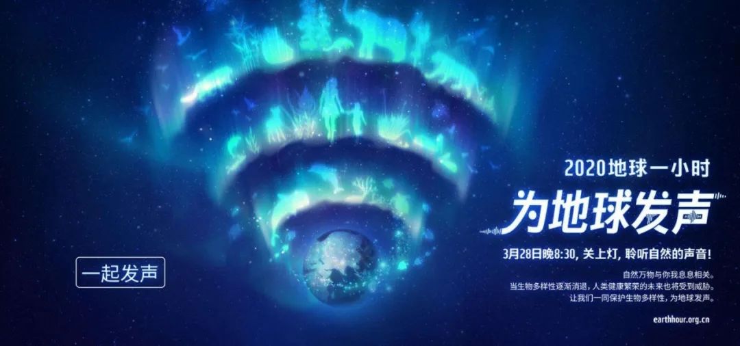 環(huán)保進(jìn)行時(shí) | 華洲木業(yè)，用行動(dòng)為地球發(fā)聲(圖1)