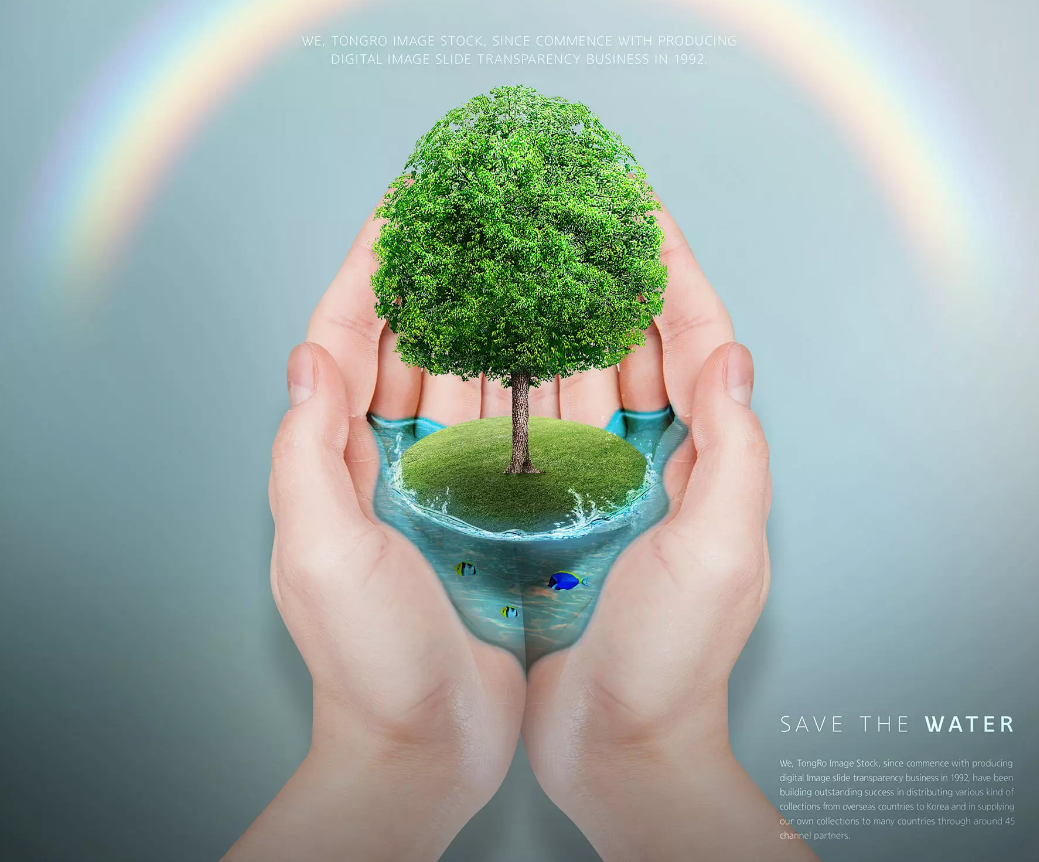 華洲木業(yè)，正在崛起的環(huán)保王國(圖1)