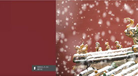 你所在的城市，對應(yīng)的是華洲哪款花色？