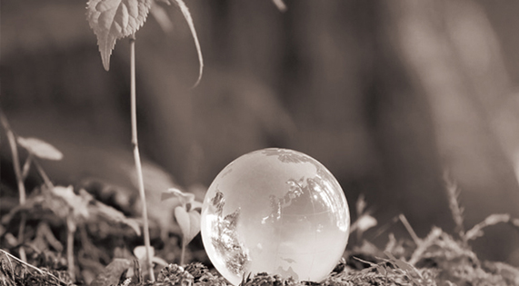 【品牌史詩(shī)】華洲：從木匠之心到全球板材巨頭的向上迸發(fā)