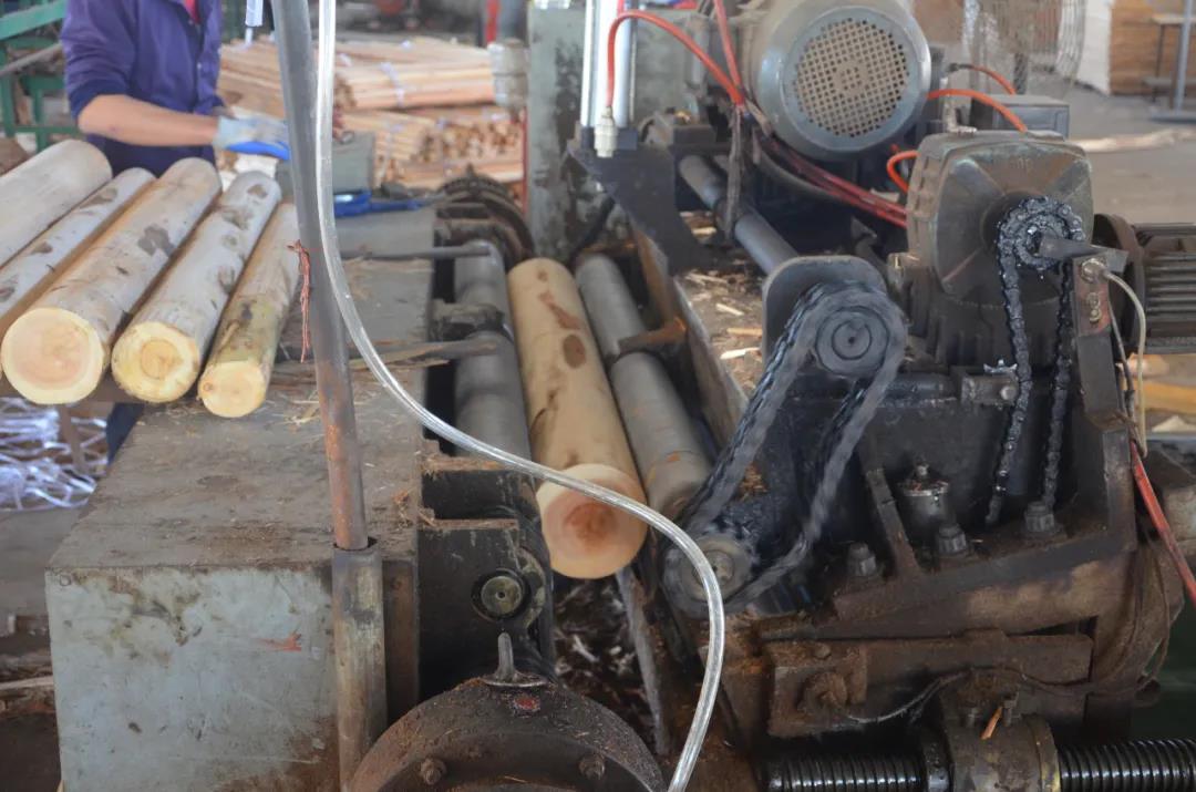 明星產(chǎn)品 | 華洲實(shí)木多層板誕生記！(圖3)