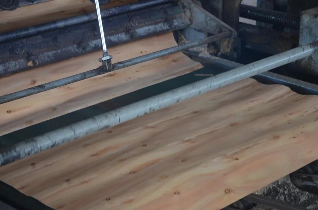 明星產(chǎn)品 | 華洲實(shí)木多層板誕生記！(圖4)