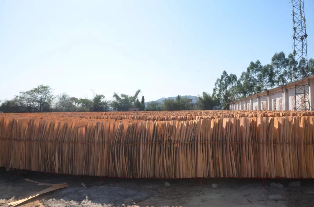 明星產(chǎn)品 | 華洲實(shí)木多層板誕生記！(圖6)