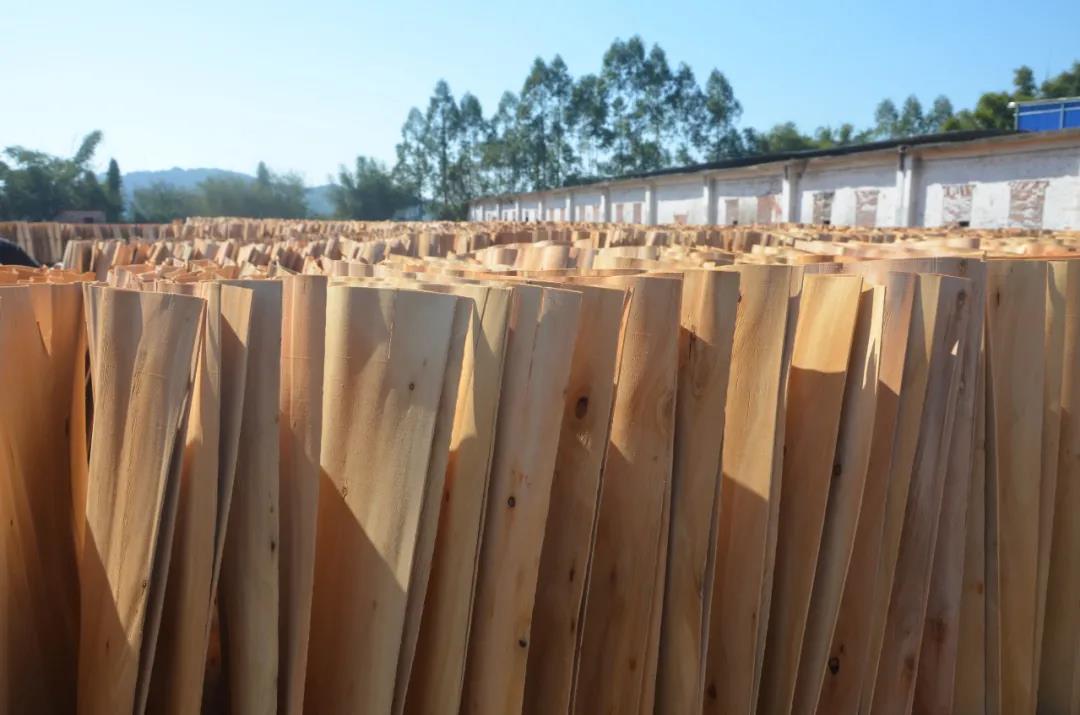 明星產(chǎn)品 | 華洲實(shí)木多層板誕生記！(圖7)