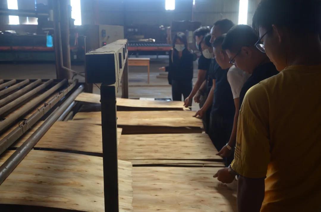 明星產(chǎn)品 | 華洲實(shí)木多層板誕生記！(圖8)