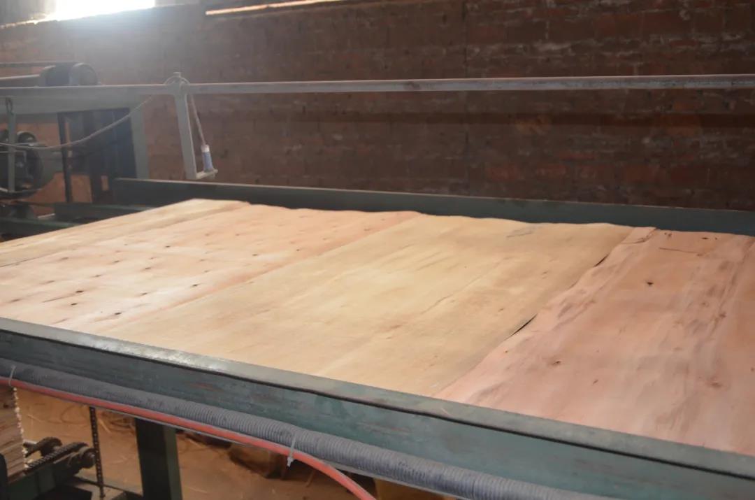 明星產(chǎn)品 | 華洲實(shí)木多層板誕生記！(圖10)