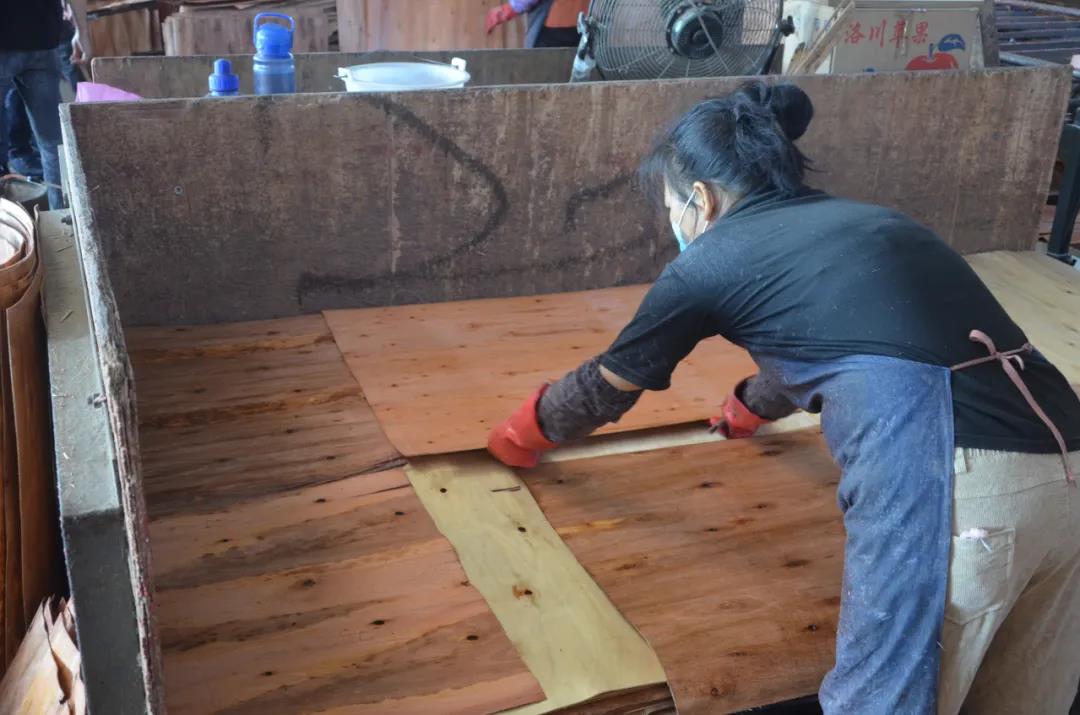 明星產(chǎn)品 | 華洲實(shí)木多層板誕生記！(圖12)