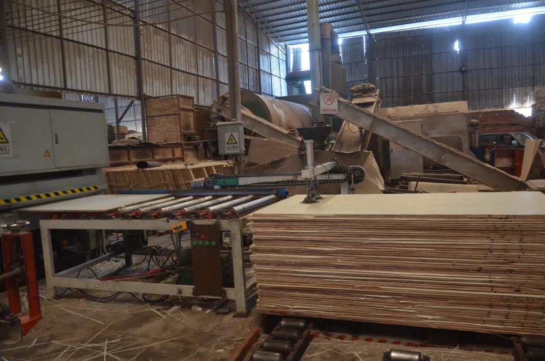 明星產(chǎn)品 | 華洲實(shí)木多層板誕生記！(圖18)