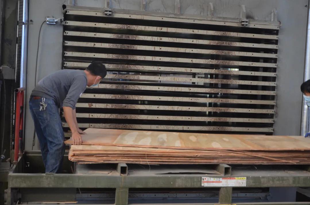 明星產(chǎn)品 | 華洲實(shí)木多層板誕生記！(圖15)