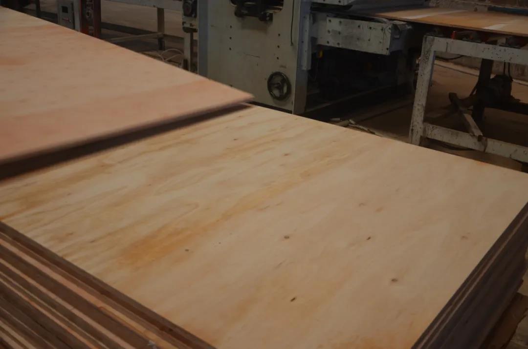 明星產(chǎn)品 | 華洲實(shí)木多層板誕生記！(圖16)