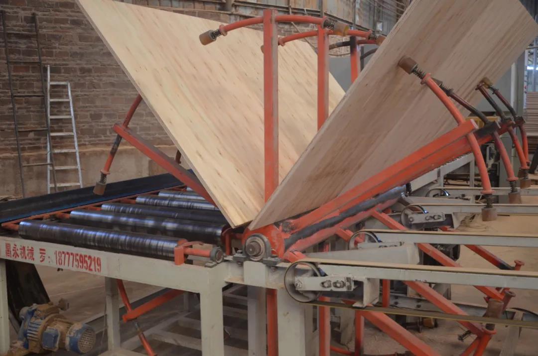 明星產(chǎn)品 | 華洲實(shí)木多層板誕生記！(圖17)