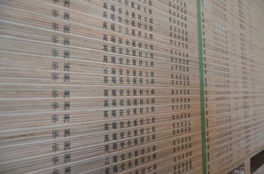 明星產(chǎn)品 | 華洲實(shí)木多層板誕生記！(圖23)