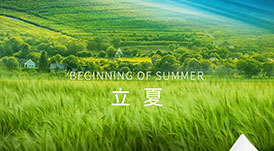 華洲木業(yè) | 春意藏，夏初長