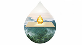 板材環(huán)不環(huán)保，看看膠水就知道！