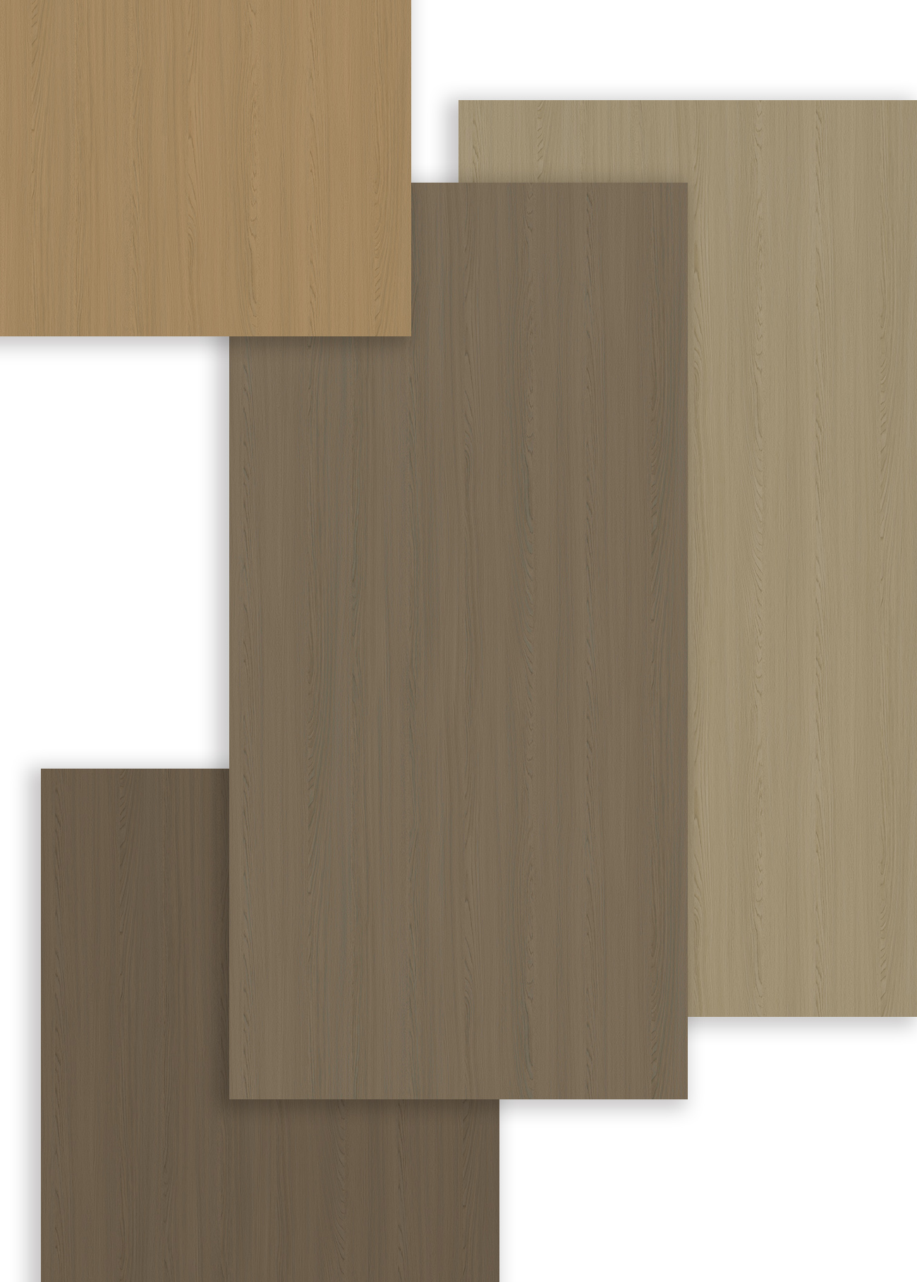 自然之歌的悠揚篇章——華洲同步木紋 ‖ 圣彼得堡榆木/黃榆/白榆/灰榆(圖2) 自然之歌的悠揚篇章——華洲同步木紋 ‖ 圣彼得堡榆木/黃榆/白榆/灰榆(圖2)