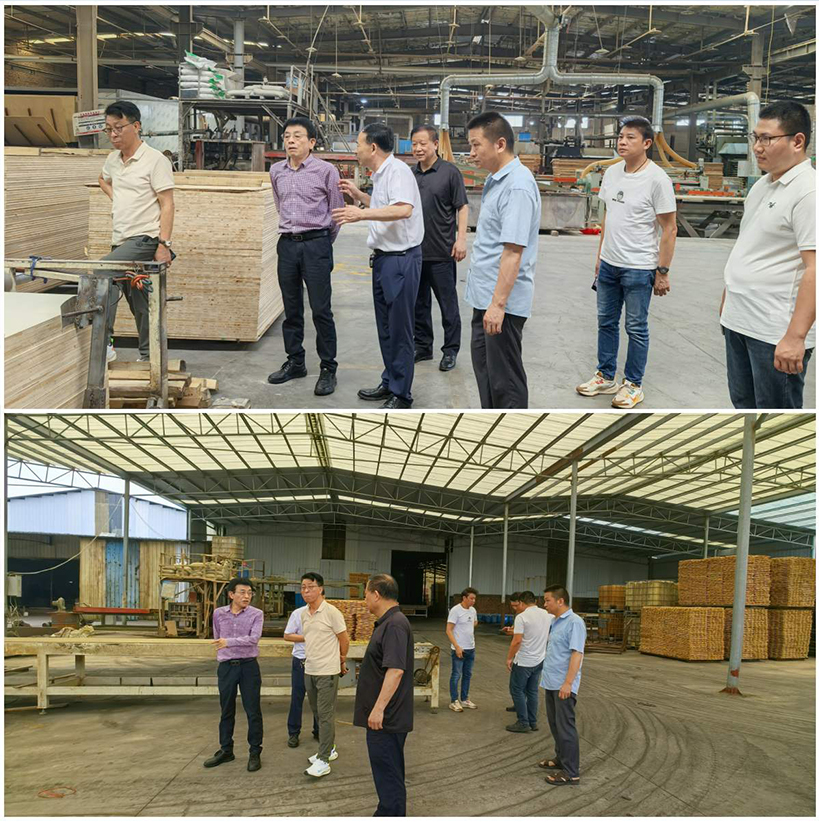 【綠色領(lǐng)航·智慧交融】華洲木業(yè)董事長率團(tuán)深訪鐘氏木業(yè)，共譜江西綠色發(fā)展新篇章(圖4)