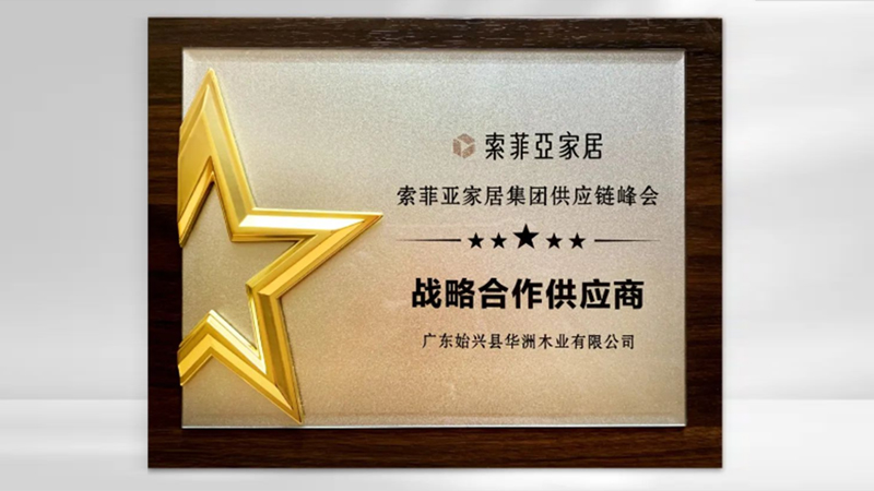 【品牌實(shí)力】華洲：創(chuàng)新引領(lǐng)，品質(zhì)鑄就傳奇(圖5)