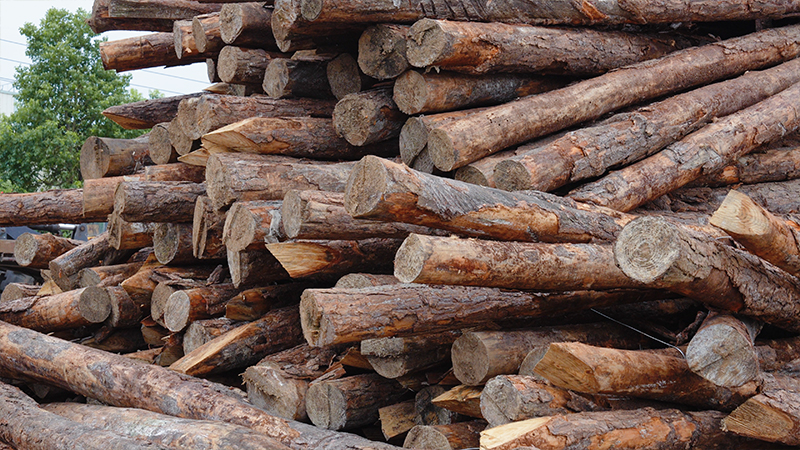 嚴格選材，只為一張好板材！(圖2)