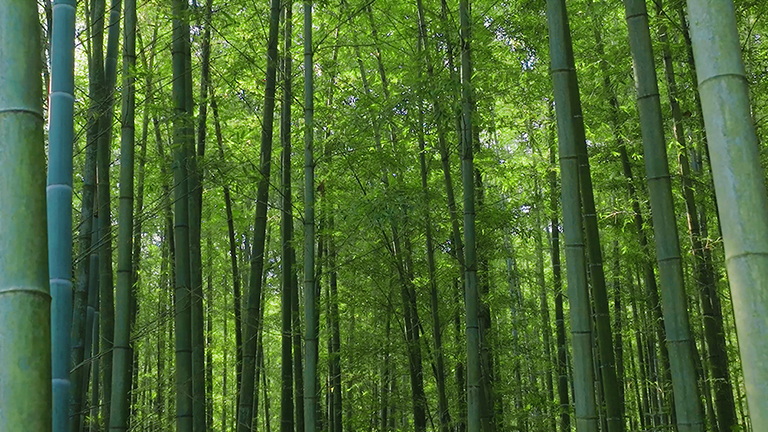 官網(wǎng)1.jpg 官網(wǎng)1.jpg