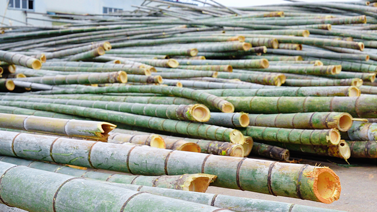 官網(wǎng)2.jpg 官網(wǎng)2.jpg