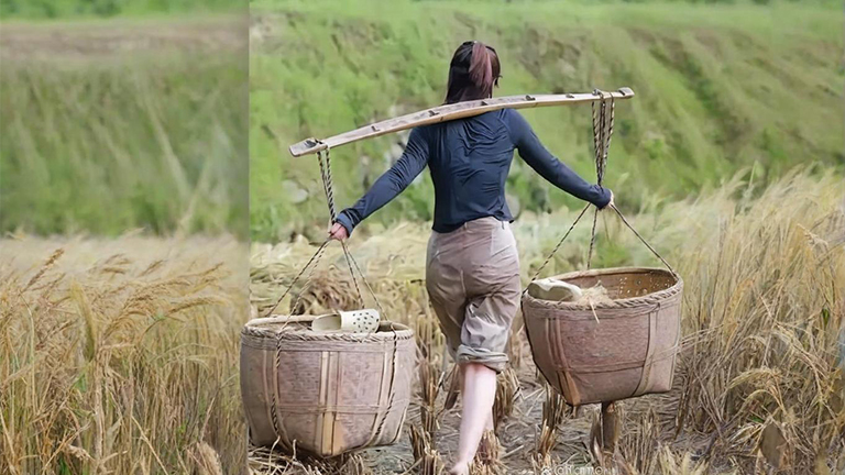 官網(wǎng)4.jpg 官網(wǎng)4.jpg